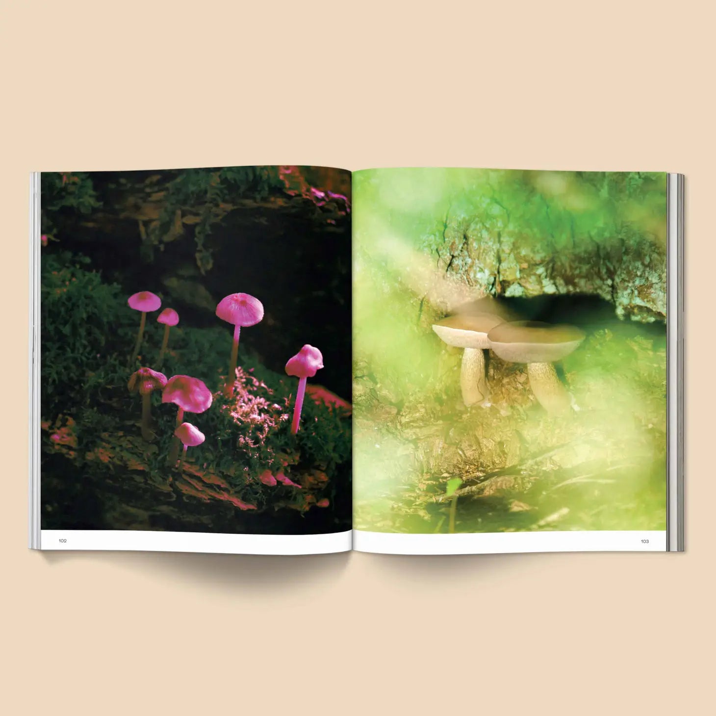 Broccoli Spores: Magical Mushroom Photography Book| Prelude & Dawn | Los Angeles, CA