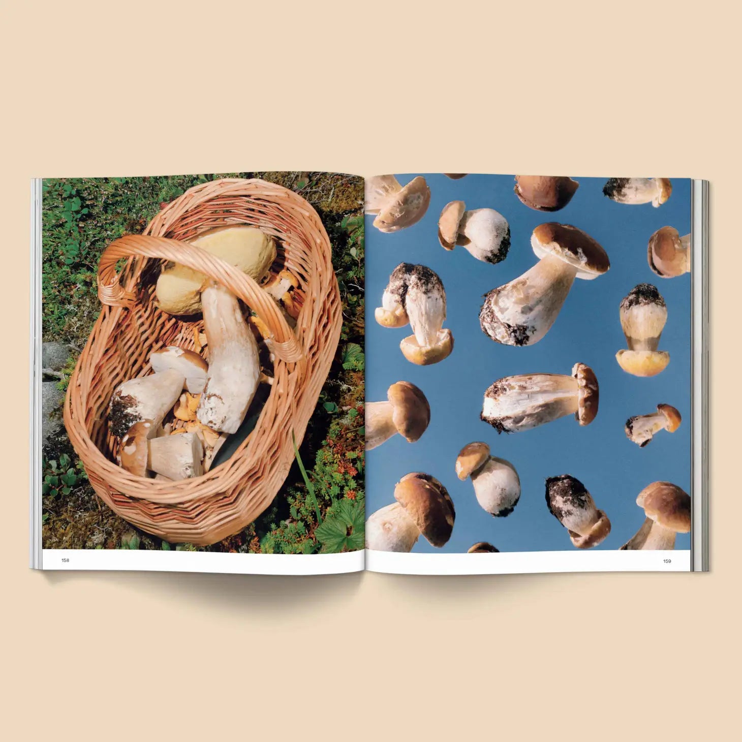 Broccoli Spores: Magical Mushroom Photography Book| Prelude & Dawn | Los Angeles, CA