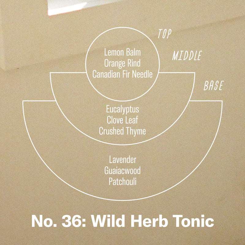 P.F. Candle Co Wild Herb Tonic Reed Diffuser | Prelude & Dawn | Los Angeles