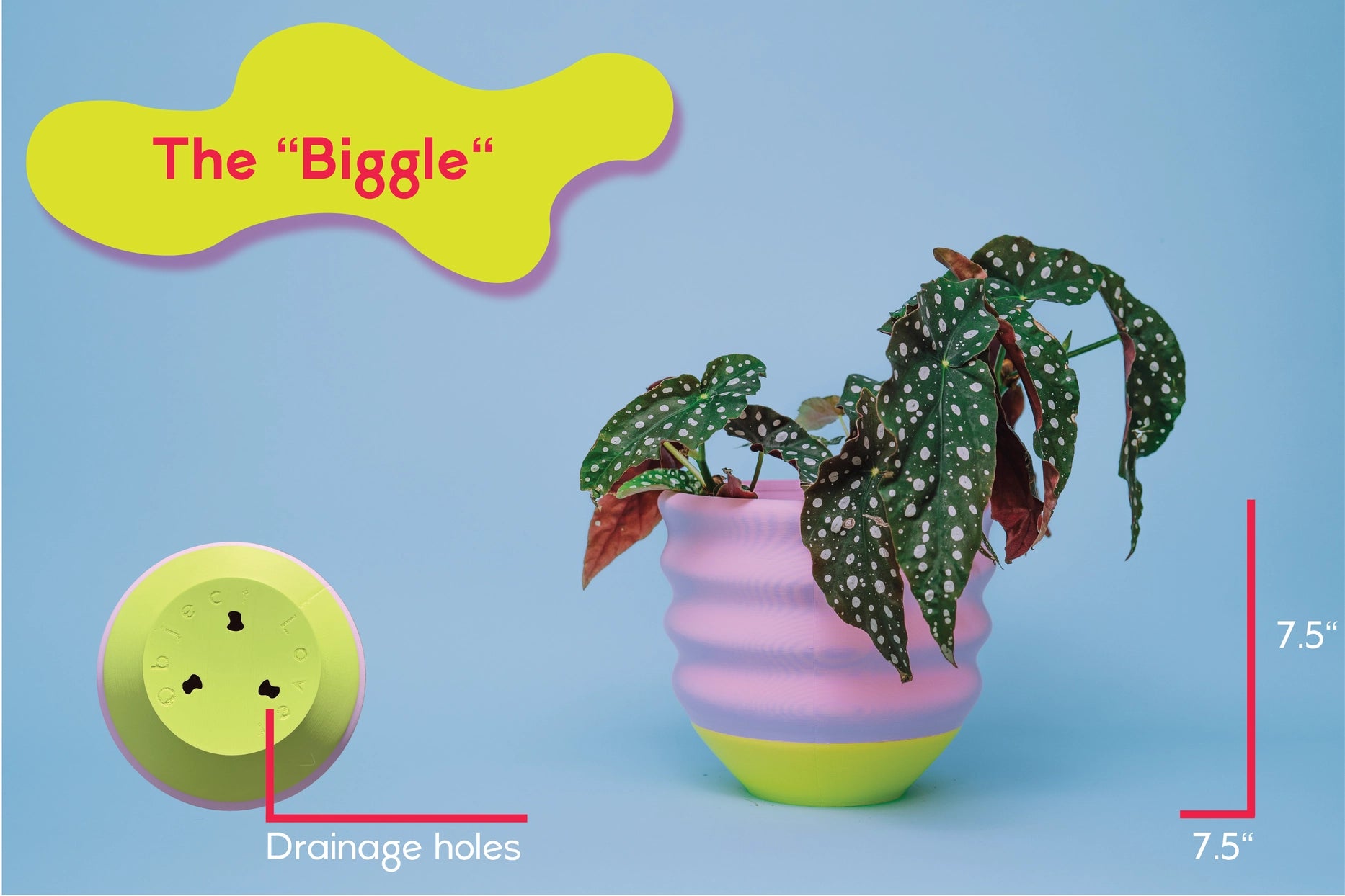 7" Biggle Planter (In Store Pick Up Only)