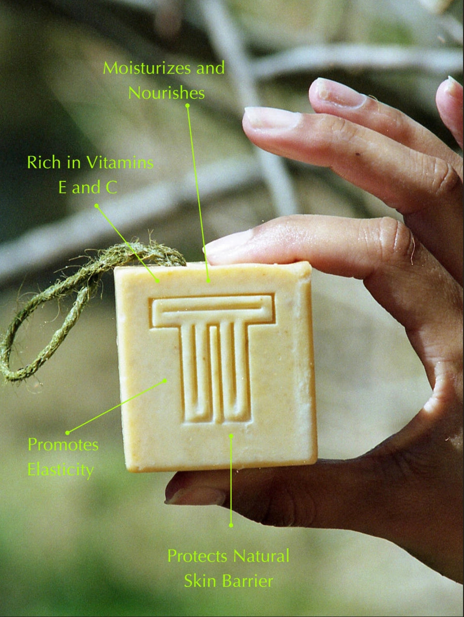 Terra - Tory Skincare Avocado Maychang Soap Cube | Prelude and Dawn Los Angeles, CA