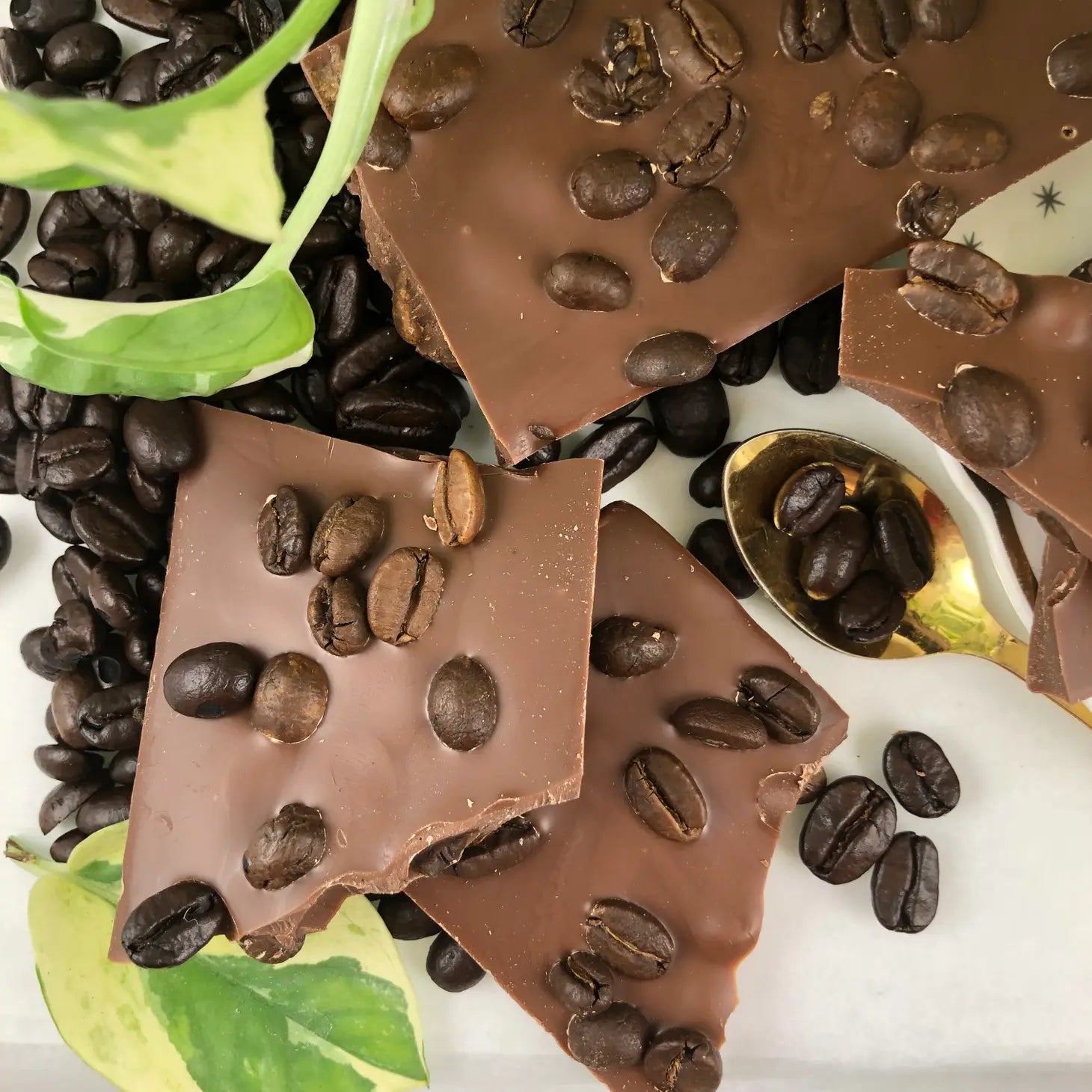 The Xocolate Bar Cafe Con Leche Bar - Organic Fair Trade Milk Chocolate| Prelude and Dawn Los Angeles, CA
