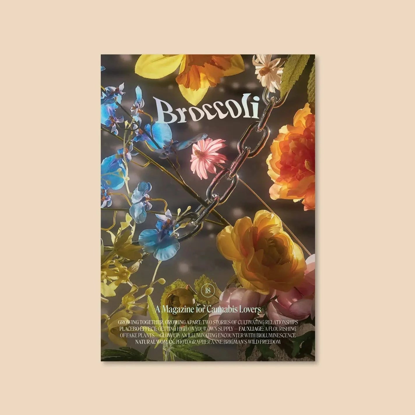 Broccoli Magazine Issue 18 | Prelude & Dawn | Los Angeles, CA