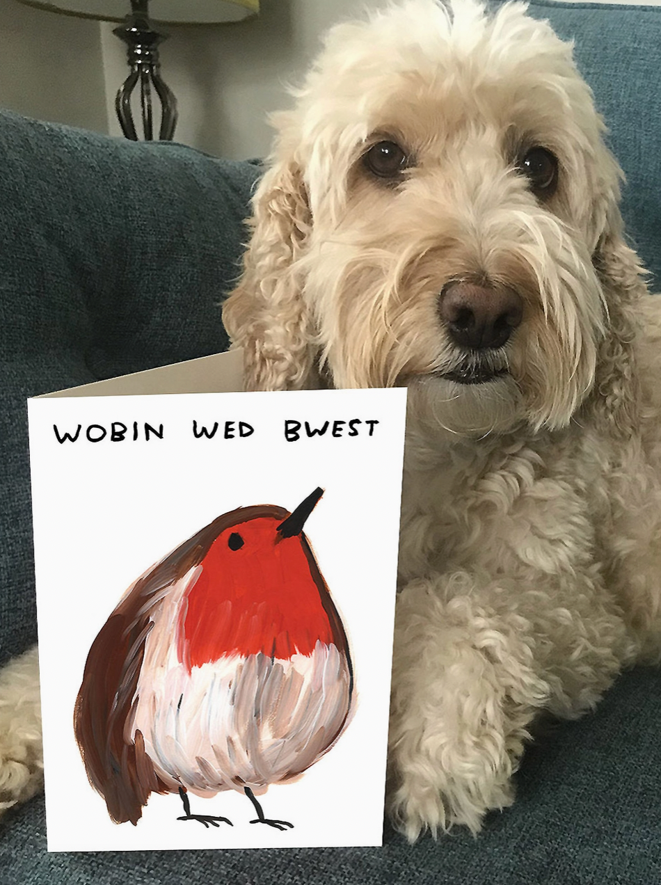 Wobin Wed Bwest