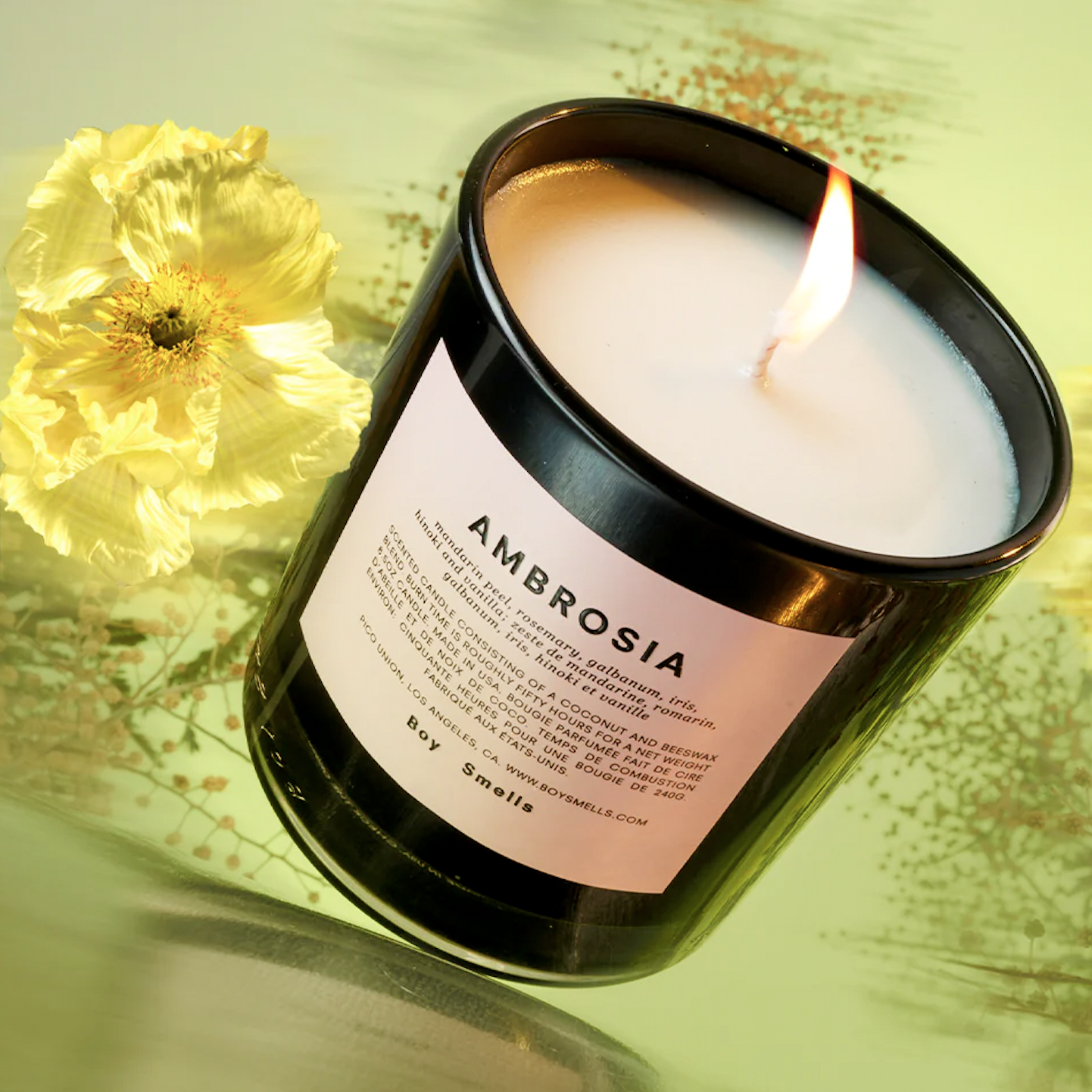 Boy Smells | Ambrosia Candle | Prelude & Dawn | Los Angeles, CA