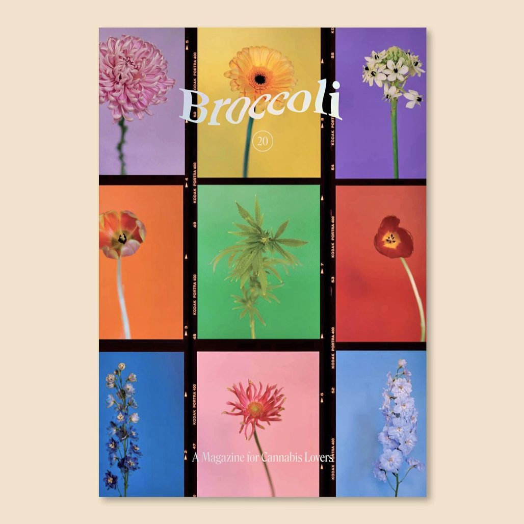 Broccoli Magazine Issue 20