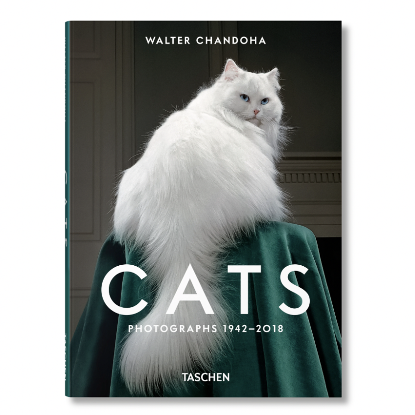 Walter Chandoha. Cats. Photographs 1942–2018 | Prelude & Dawn | Los Angeles, CA