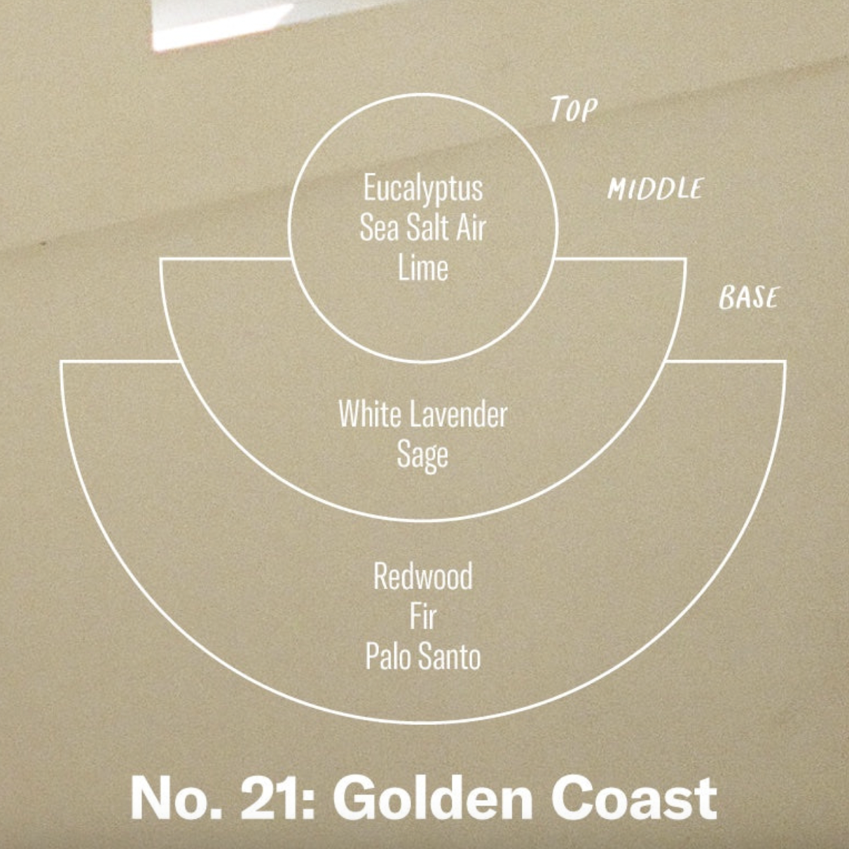 PF Candle Co. Golden Coast – Large Concentrated Candle | Prelude & Dawn | Los Angeles