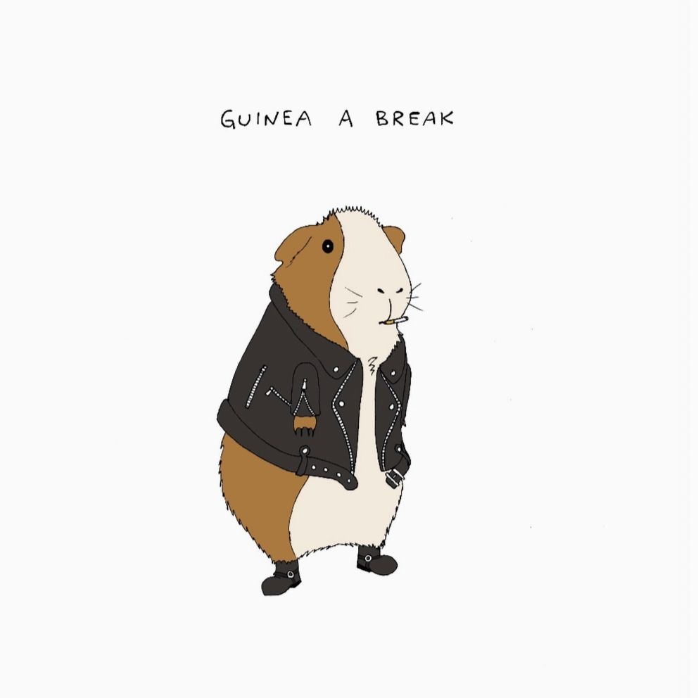 Guinea A Break Art Print