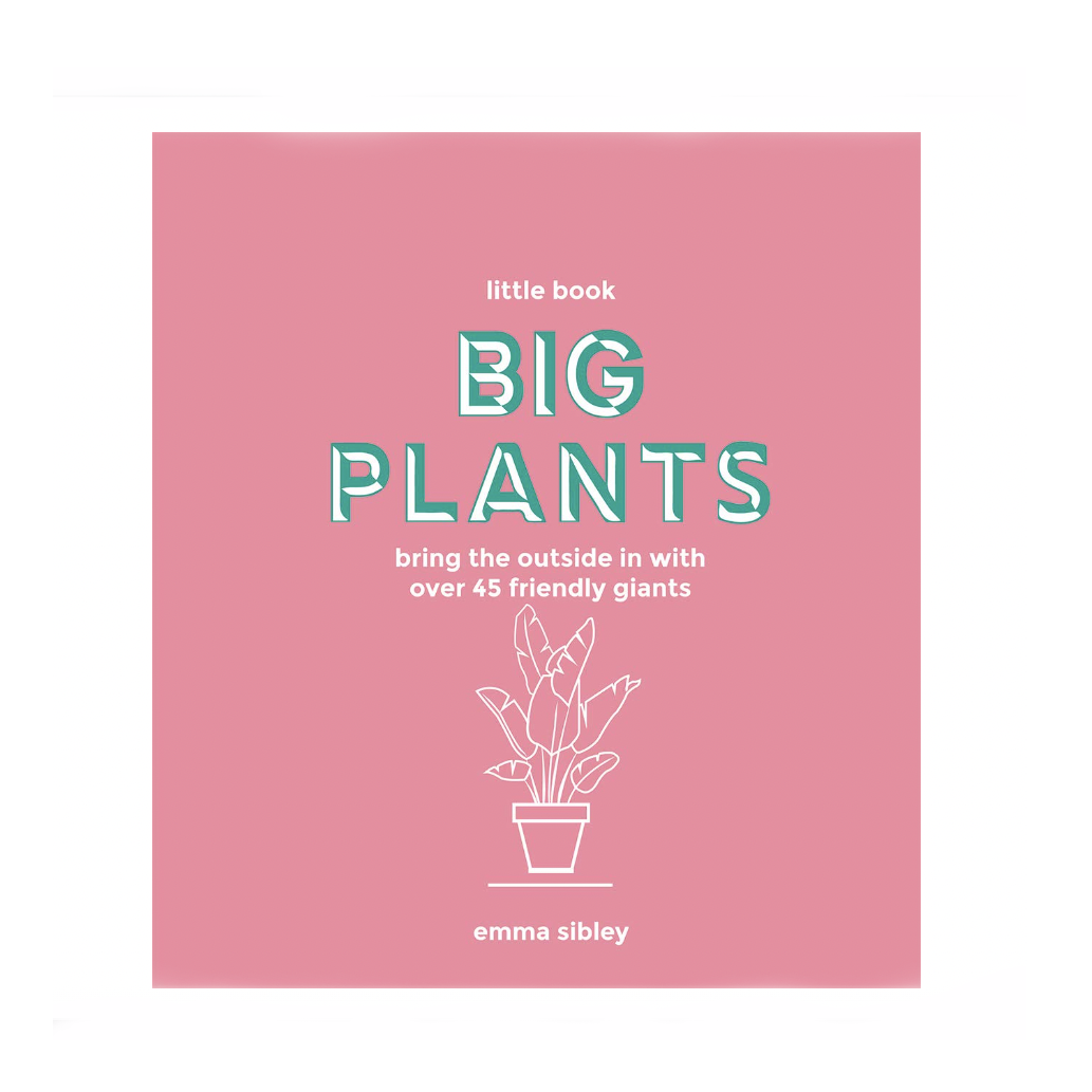 Chronicle Books Little Book, Big Plants: Bring the Outside in with 45 Friendly Giants | Prelude and Dawn | Los Angeles, CA