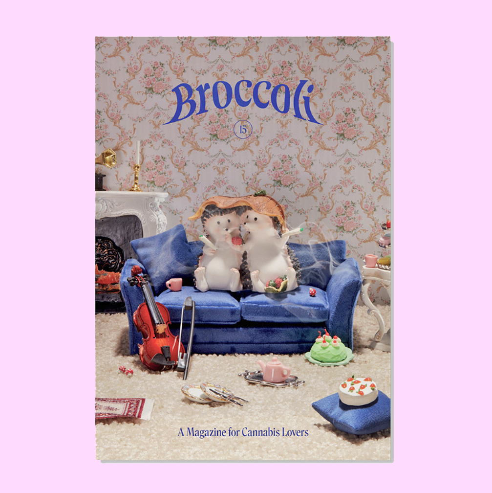 Broccoli Magazine Issue 15 | Prelude & Dawn | Los Angeles, CA