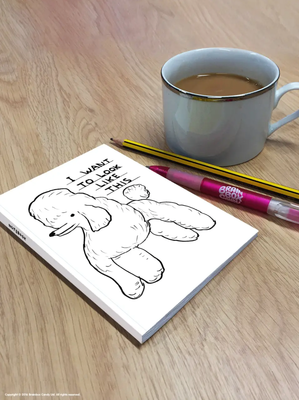 David Shrigley x Brainbox Candy I Want To Look Like This A6 Notebook | Prelude & Dawn | Los Angeles, CA