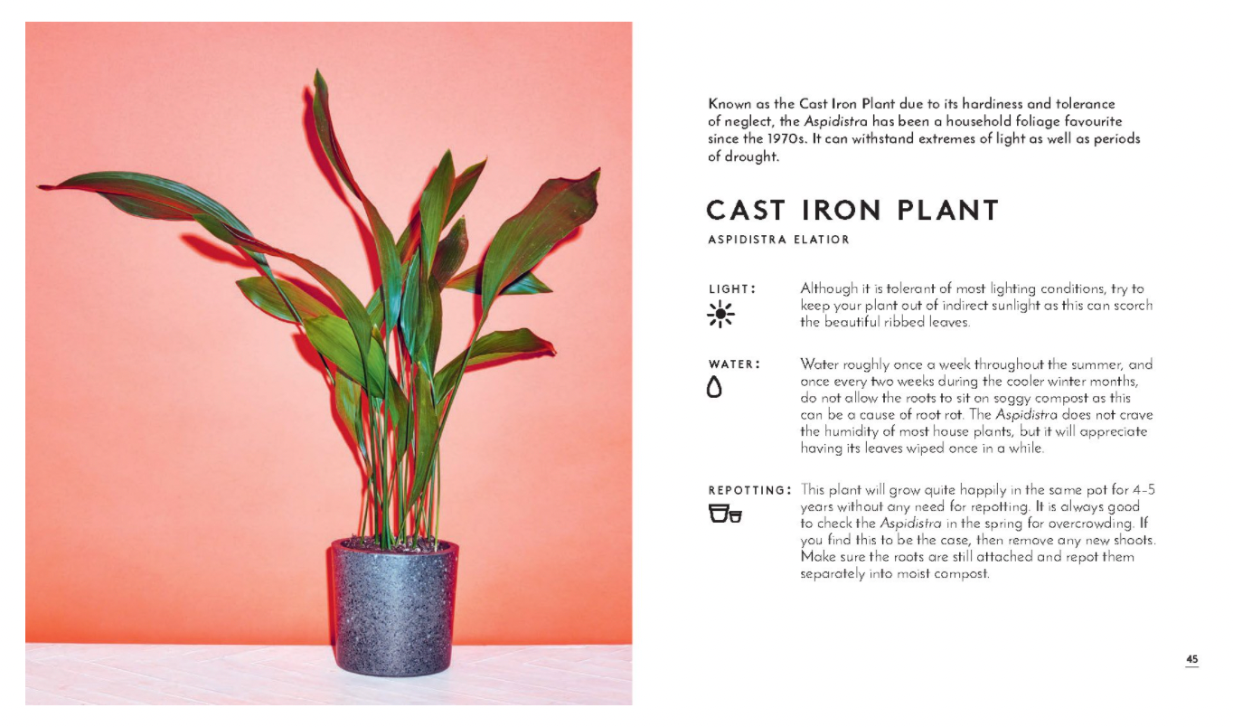 The Little Book of House Plants and Other Greenery