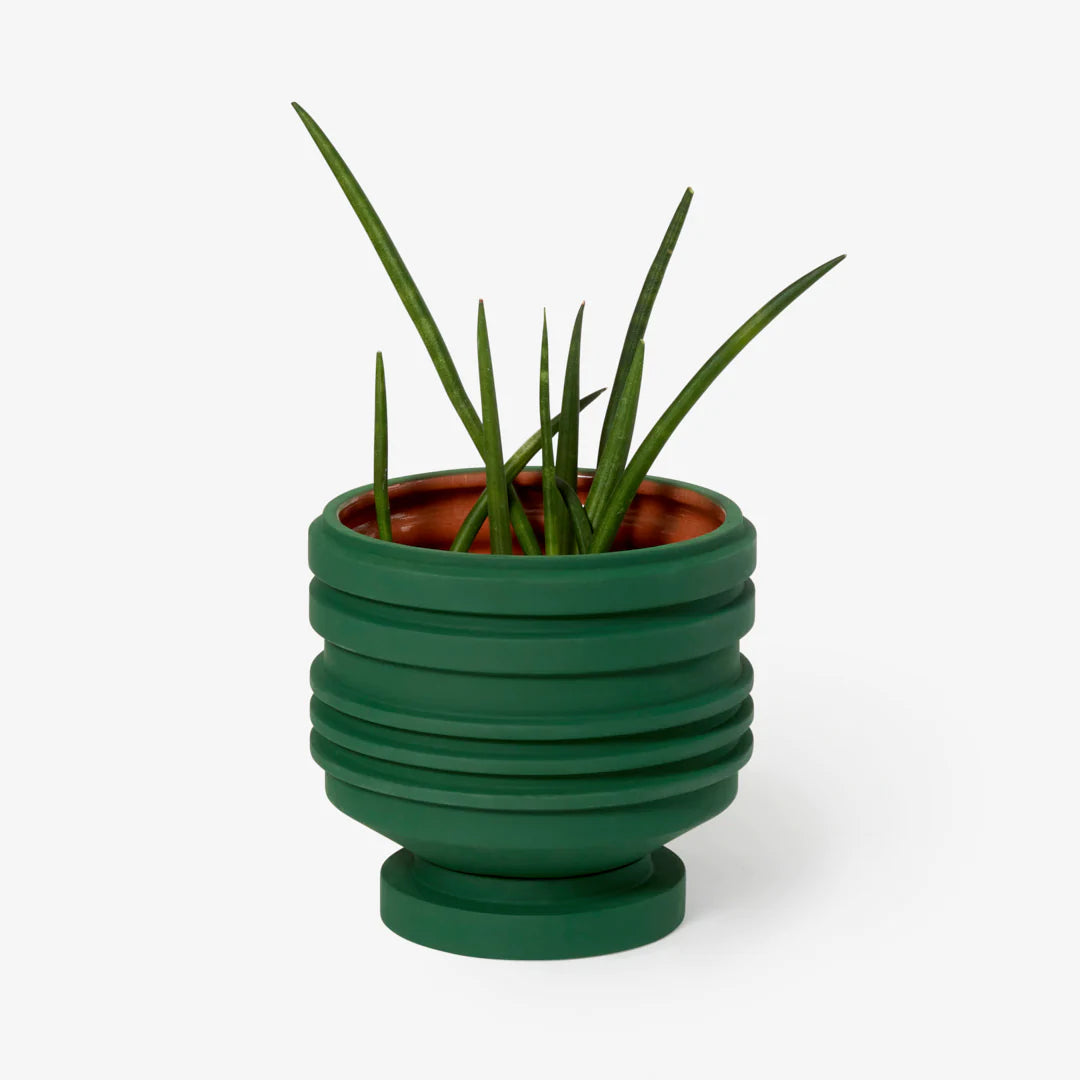 Areaware Strata Planter Green | Prelude & Dawn | Los Angeles