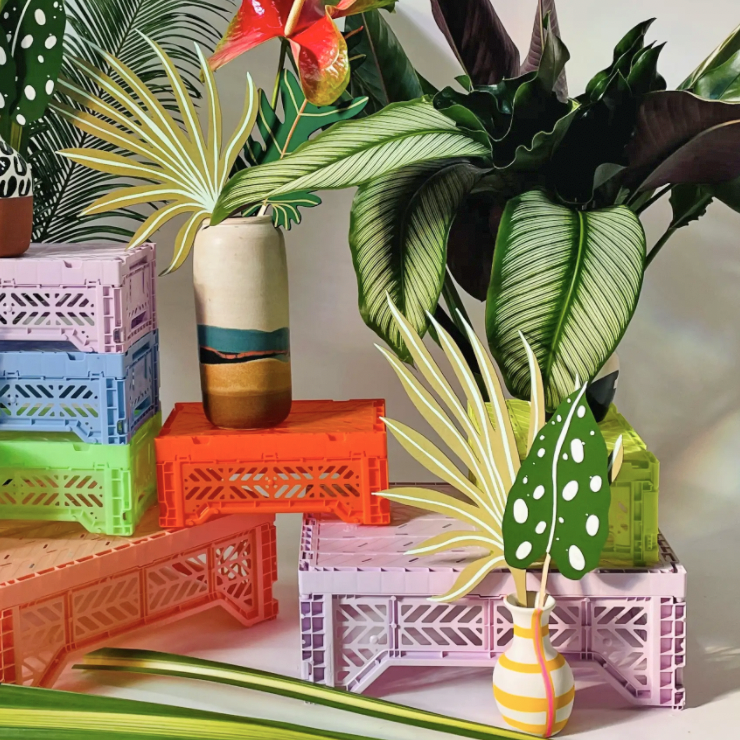 Forever Flower - Arcana Palm