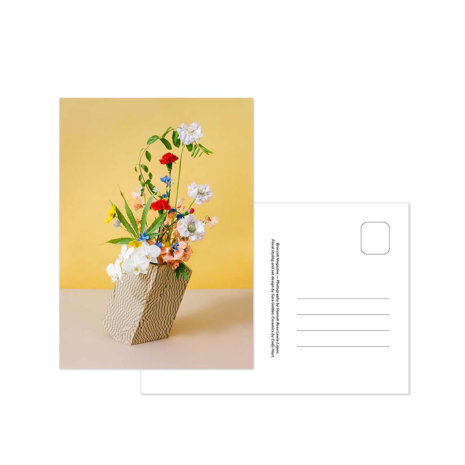 Broccoli Magazine Flower Pot Postcard Print Set | Prelude & Dawn | Los Angeles, CA A set of 8 postcards featuring art by Hannah Rosa Lewis-Lopes and Sara Golden.  Frame them as art or send to your friends in the mail. We ship globally; free shipping within the US.  Size: 5x7”  Postcard weight paper with matte laminate coating on front. Back of cards look like a postcard.