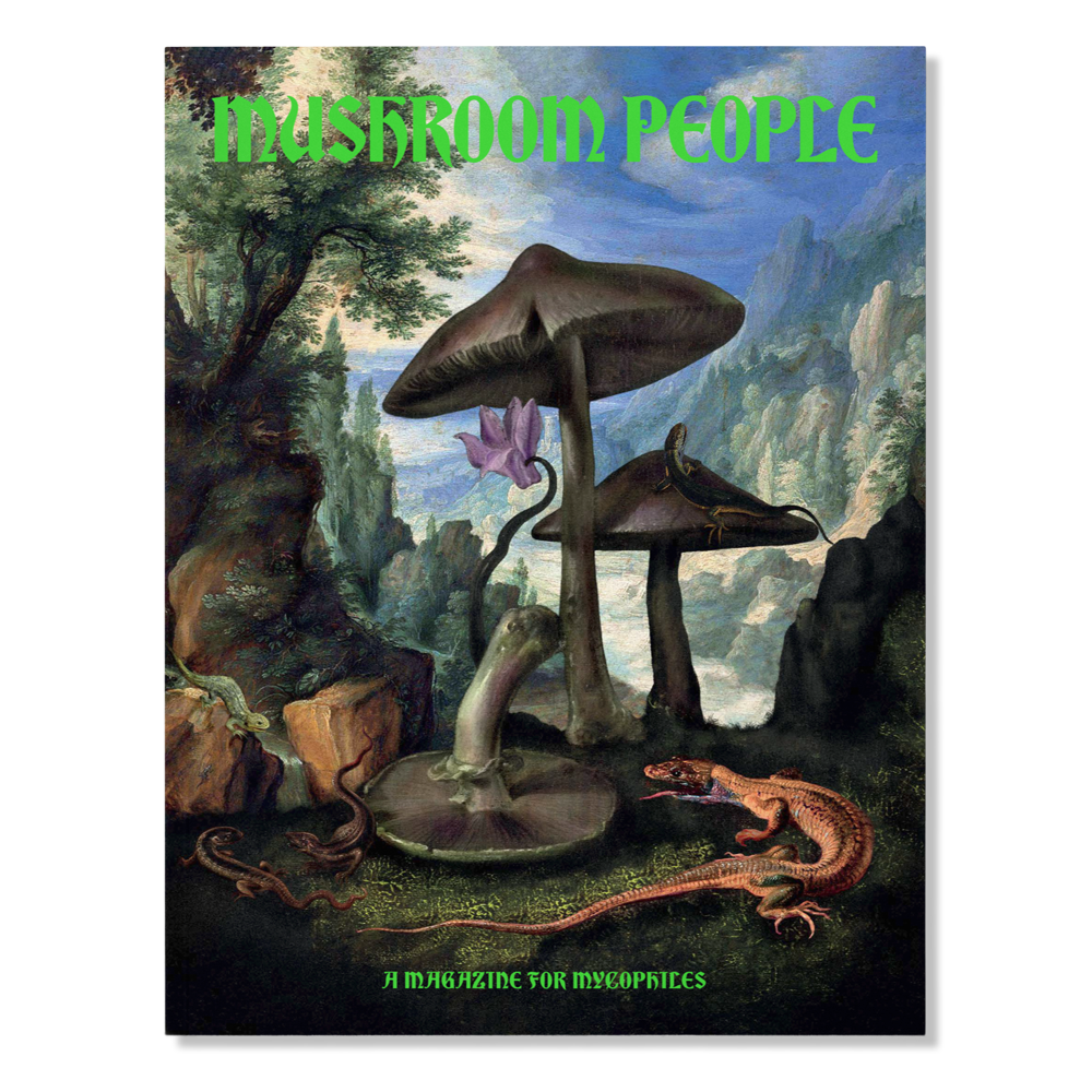 Broccoli Magazine Mushroom People | Prelude & Dawn | Los Angeles, CA