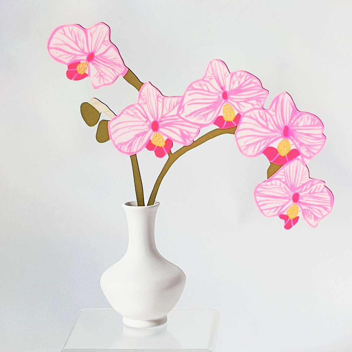 Cosmic Peace Studio | Forever Flower - Phalaenopsis Orchid | Prelude & Dawn | Los Angeles, CA