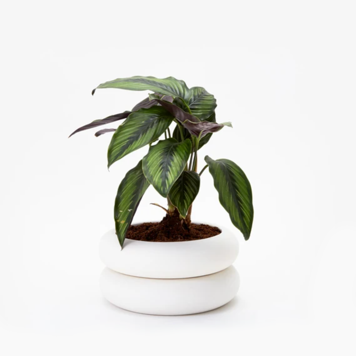 Stacking Planter - Short (In-Store Pick Up Only)