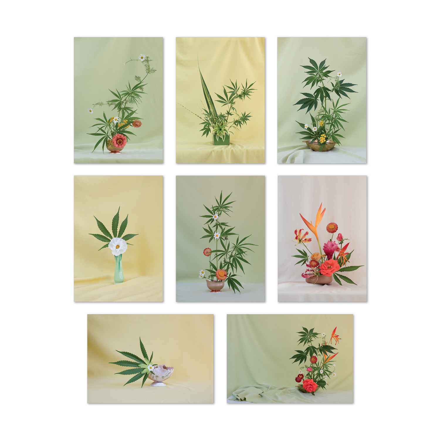 Broccoli Magazine Weed Ikebana Postcard Print Set | Prelude & Dawn | Los Angeles, CA