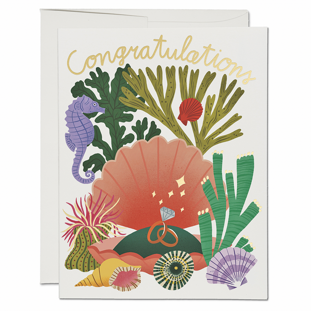 Red Cap Cards | Clam Shell Congratulations Card | Prelude and Dawn | Los Angeles, CA